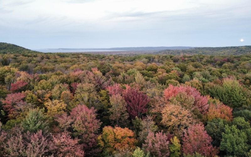 fall foliage shot from drone over bohemian valley in maple city mi view of lake michigan